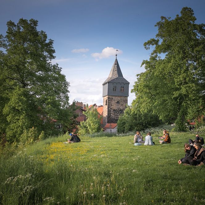 Menschen auf der Wiese vom Kehrwiederwall mit dem Kehrwiederturm im Hintergrund bei Sonnenschein