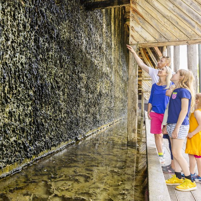 Zu sehen sind die Gradierwerke Bad Salzdetfurth.