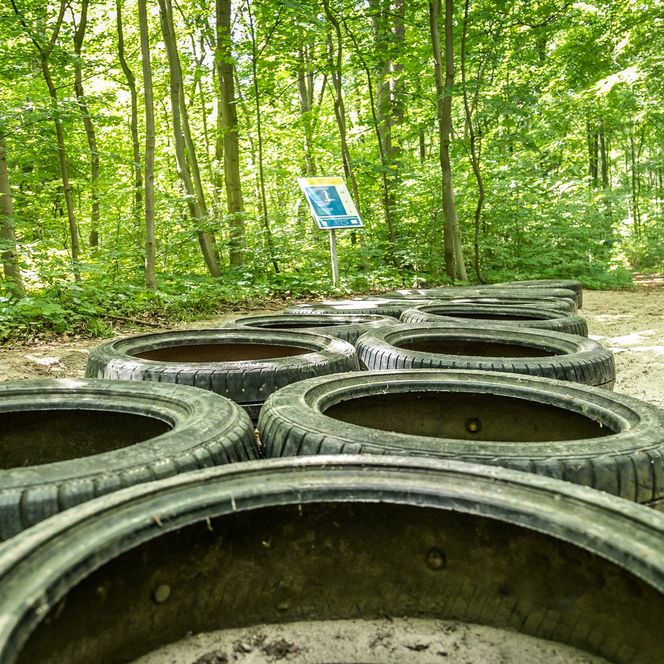 Station mit Autoreifen als Teil vom Trimm-dich-Pfad am Galgenberg