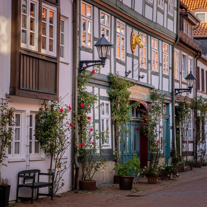 Seitlicher Blick auf eine Gasse mit bunten Fachwerkhäusern und blühenden Rosensträuchern im Fachwerkviertel in Hildesheim in der Abenddämmerung