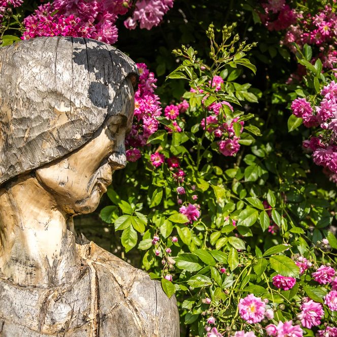 Nahaufnahme einer Statue vor einer Blumenhecke im Magdalenengarten Hildesheim
