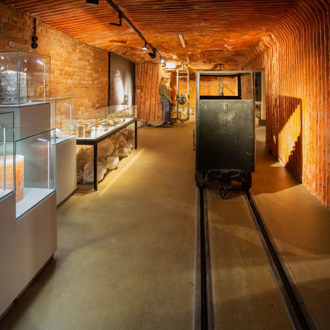Zu sehen ist einer der Ausstellungsräume im Bergbau- und Salzmuseum Bad Salzdetfurth.