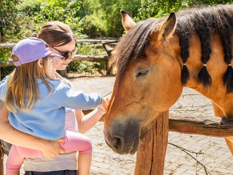 Zu sehen ist ein Kind auf dem Arm einer Erwachsenen, das ein Pferd am Kopf streichelt. 