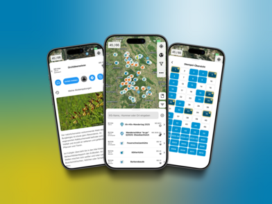 Drei verschiedene Handybildschirme mit App-Seiten