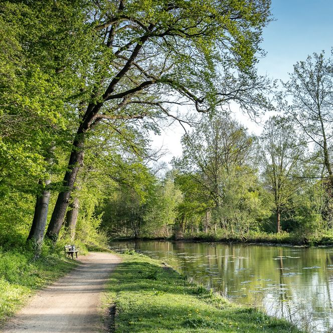 Weg am Ufer beim Liebesgrund, vorbei an Bäumen 