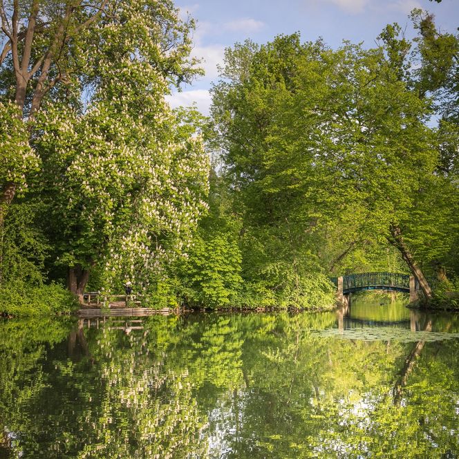 Blick über einen Teich im Ernst-Ehrlicher-Park auf eine Brücke im Hintergrund