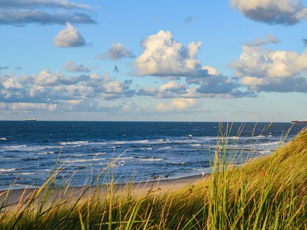 hier steht der alternative Text