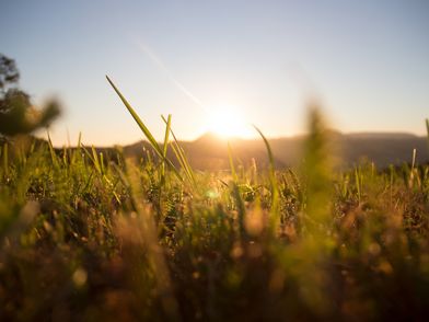 redaktionell gepflegt: alternativer Text