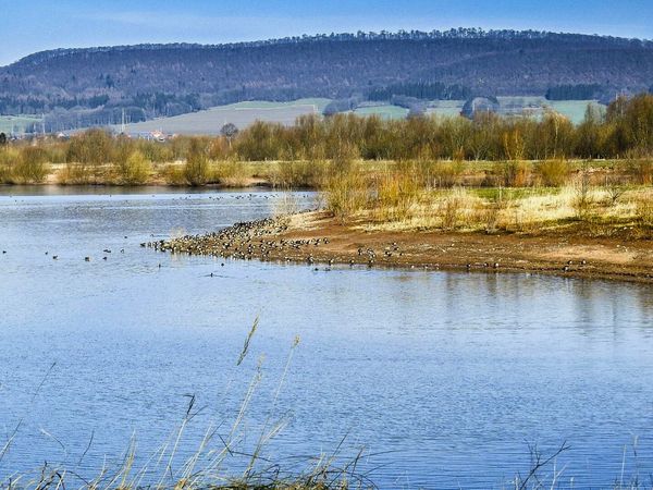 Auenlandschaft Hohenrode